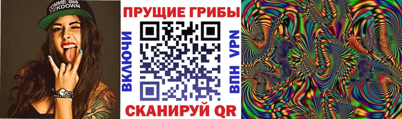 Галлюциногенные грибы Magic Shrooms Алагир