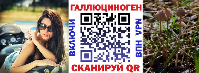 Псилоцибиновые грибы мицелий  Купить где  Алагир 